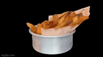 GIF of Spinning Fries